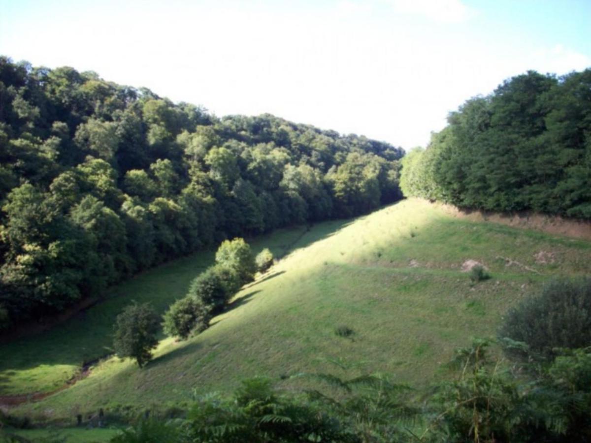 Cosy Chalet With Private Garden In Normandy Isigny-le-Buat 部屋 写真
